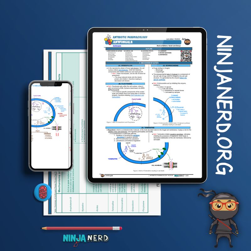 Antifungals Illustrations NinjaNerd Medicine
